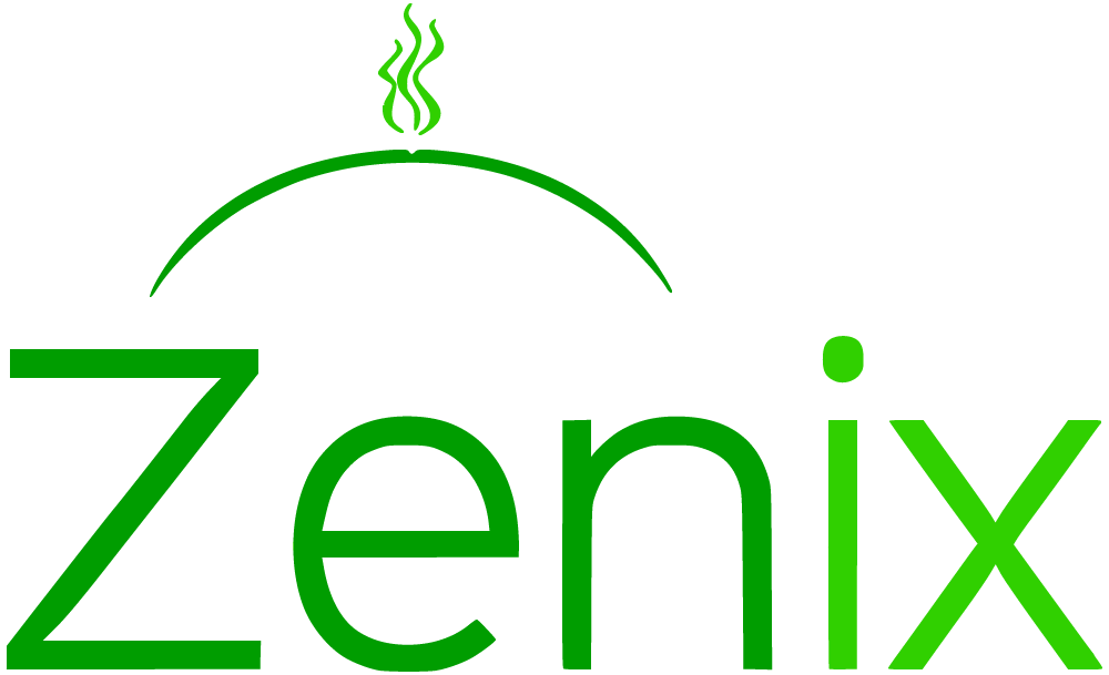 www.zenix.ro